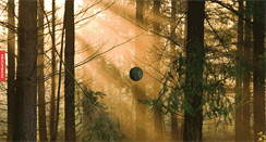 Desktop Screenshot of fourseasonscabinrental.com